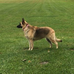 Meet your Posher, Tonya